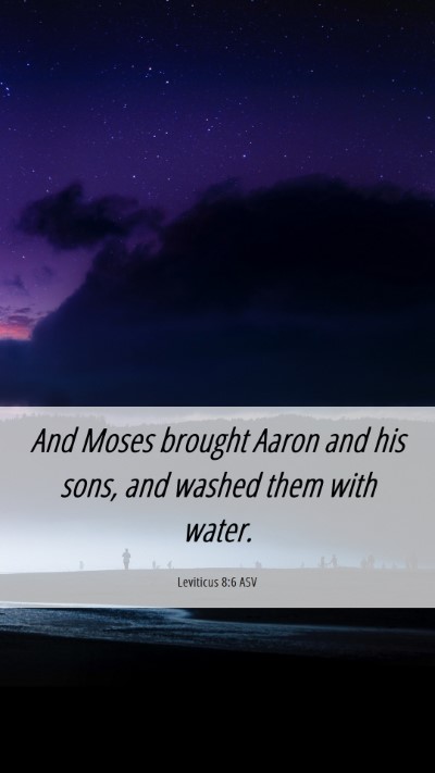 Picture 06 - Leviticus 8:6 ASV Mobile Phone Wallpaper - And Moses brought Aaron and his sons, and washed - Mobile Bible Verse Wallpaper