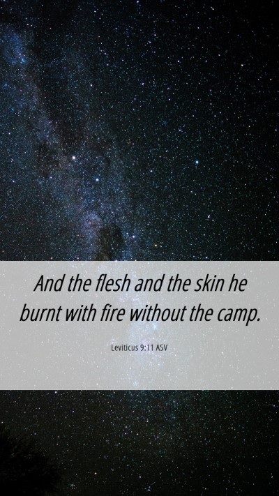 Picture 06 - Leviticus 9:11 ASV Mobile Phone Wallpaper - And the flesh and the skin he burnt with fire - Mobile Bible Verse Wallpaper