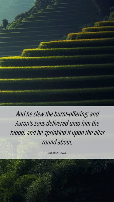 Picture 06 - Leviticus 9:12 ASV Mobile Phone Wallpaper - And he slew the burnt-offering; and Aaron's sons - Mobile Bible Verse Wallpaper