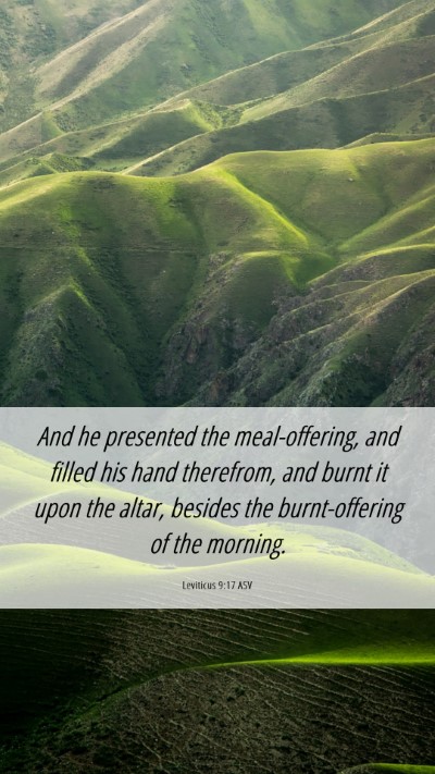 Picture 06 - Leviticus 9:17 ASV Mobile Phone Wallpaper - And he presented the meal-offering, and filled - Mobile Bible Verse Wallpaper