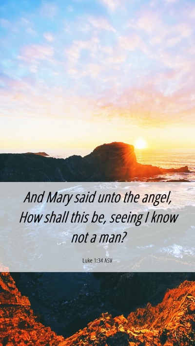 Picture 06 - Luke 1:34 ASV Mobile Phone Wallpaper - And Mary said unto the angel, How shall this be, - Mobile Bible Verse Wallpaper