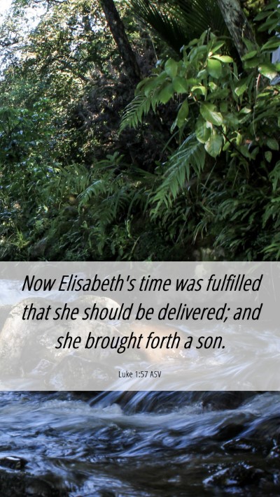 Picture 06 - Luke 1:57 ASV Mobile Phone Wallpaper - Now Elisabeth's time was fulfilled that she - Mobile Bible Verse Wallpaper