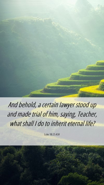 Picture 06 - Luke 10:25 ASV Mobile Phone Wallpaper - And behold, a certain lawyer stood up and made - Mobile Bible Verse Wallpaper