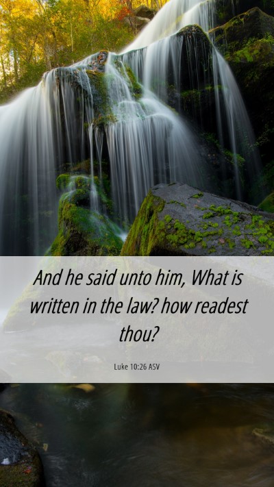 Picture 06 - Luke 10:26 ASV Mobile Phone Wallpaper - And he said unto him, What is written in the law? - Mobile Bible Verse Wallpaper