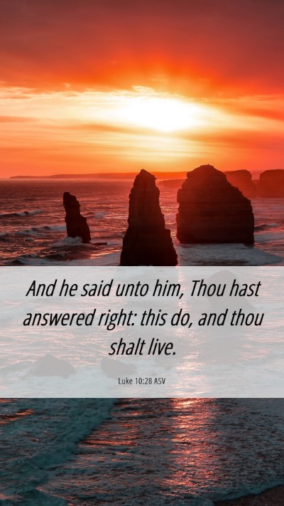 Picture 06 - Luke 10:28 ASV Mobile Phone Wallpaper - And he said unto him, Thou hast answered right: - Mobile Bible Verse Wallpaper