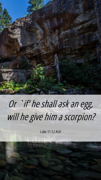 Picture 06 - Luke 11:12 ASV Mobile Phone Wallpaper - Or `if' he shall ask an egg, will he give him a - Mobile Bible Verse Wallpaper