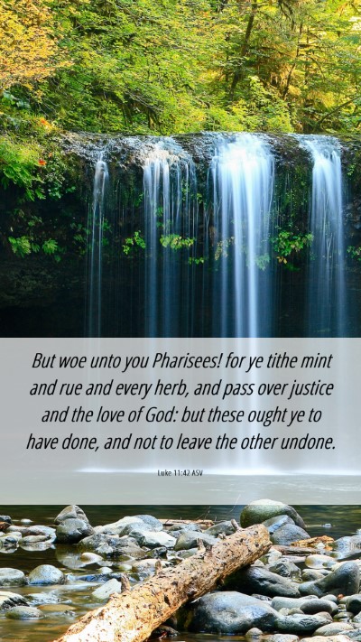 Picture 06 - Luke 11:42 ASV Mobile Phone Wallpaper - But woe unto you Pharisees! for ye tithe mint and - Mobile Bible Verse Wallpaper