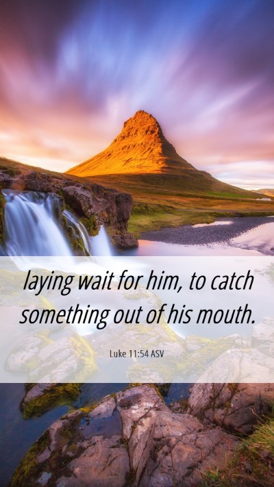 Picture 06 - Luke 11:54 ASV Mobile Phone Wallpaper - laying wait for him, to catch something out of - Mobile Bible Verse Wallpaper