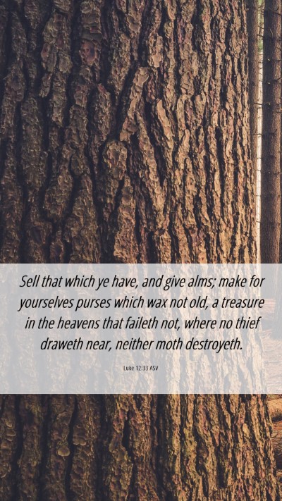 Picture 06 - Luke 12:33 ASV Mobile Phone Wallpaper - Sell that which ye have, and give alms; make for - Mobile Bible Verse Wallpaper