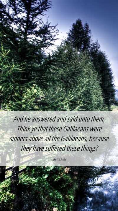 Picture 06 - Luke 13:2 ASV Mobile Phone Wallpaper - And he answered and said unto them, Think ye that - Mobile Bible Verse Wallpaper