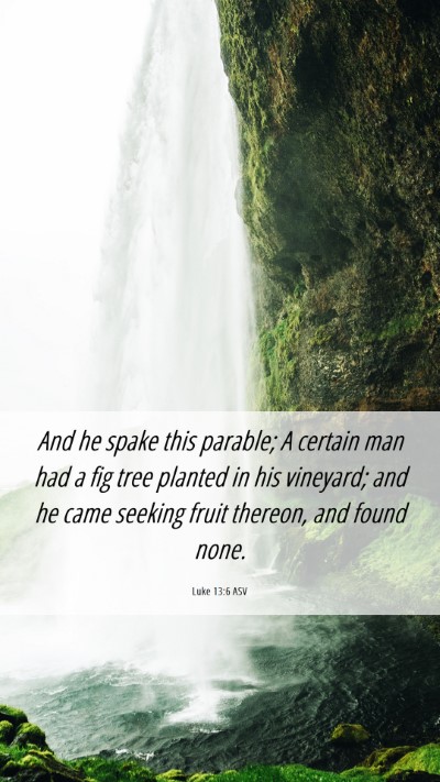 Picture 06 - Luke 13:6 ASV Mobile Phone Wallpaper - And he spake this parable; A certain man had a - Mobile Bible Verse Wallpaper
