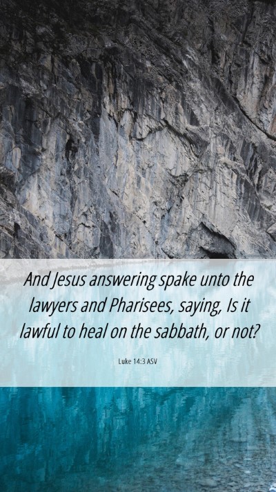 Picture 06 - Luke 14:3 ASV Mobile Phone Wallpaper - And Jesus answering spake unto the lawyers and - Mobile Bible Verse Wallpaper
