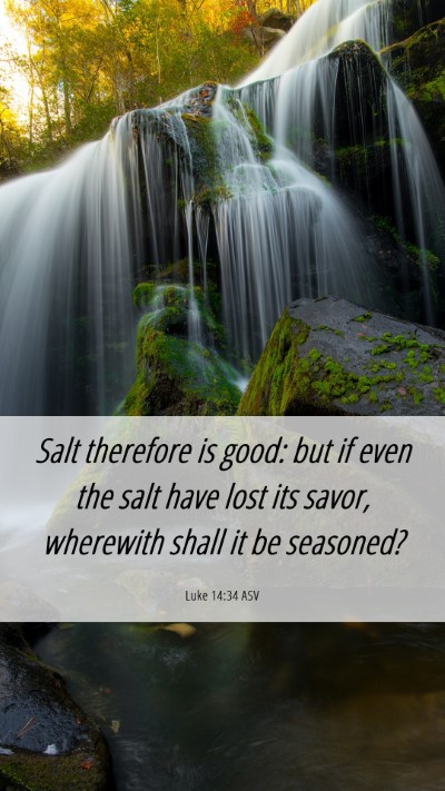 Picture 06 - Luke 14:34 ASV Mobile Phone Wallpaper - Salt therefore is good: but if even the salt have - Mobile Bible Verse Wallpaper