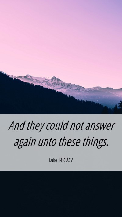 Picture 06 - Luke 14:6 ASV Mobile Phone Wallpaper - And they could not answer again unto these - Mobile Bible Verse Wallpaper