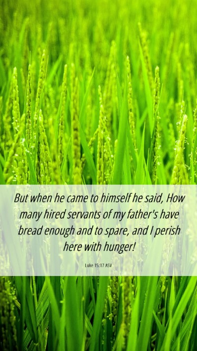 Picture 06 - Luke 15:17 ASV Mobile Phone Wallpaper - But when he came to himself he said, How many - Mobile Bible Verse Wallpaper