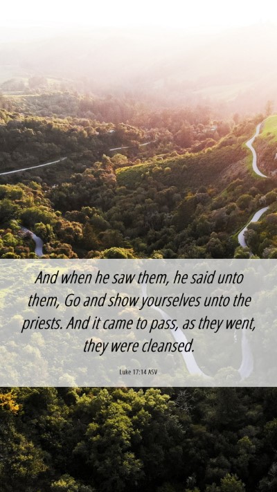 Picture 06 - Luke 17:14 ASV Mobile Phone Wallpaper - And when he saw them, he said unto them, Go and - Mobile Bible Verse Wallpaper