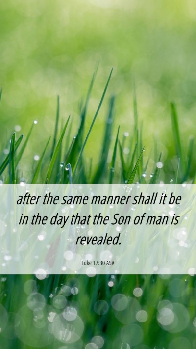 Picture 06 - Luke 17:30 ASV Mobile Phone Wallpaper - after the same manner shall it be in the day that - Mobile Bible Verse Wallpaper