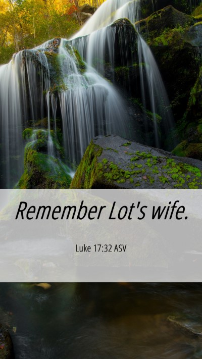 Picture 06 - Luke 17:32 ASV Mobile Phone Wallpaper - Remember Lot's - Mobile Bible Verse Wallpaper