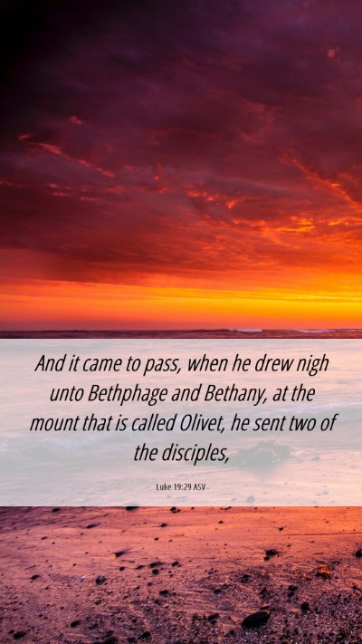 Picture 06 - Luke 19:29 ASV Mobile Phone Wallpaper - And it came to pass, when he drew nigh unto - Mobile Bible Verse Wallpaper