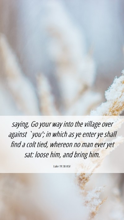 Picture 06 - Luke 19:30 ASV Mobile Phone Wallpaper - saying, Go your way into the village over against - Mobile Bible Verse Wallpaper