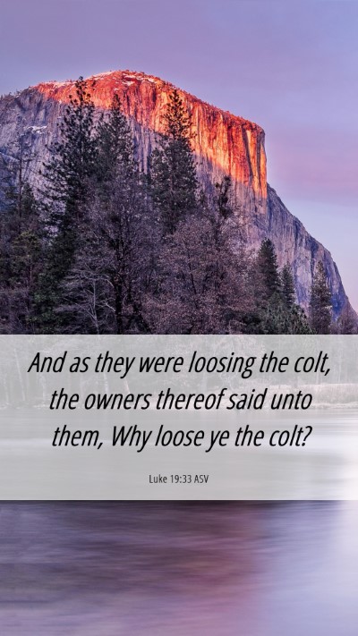 Picture 06 - Luke 19:33 ASV Mobile Phone Wallpaper - And as they were loosing the colt, the owners - Mobile Bible Verse Wallpaper