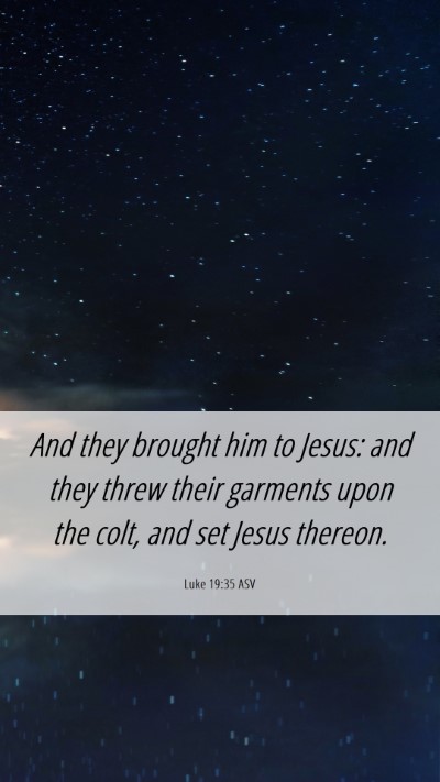 Picture 06 - Luke 19:35 ASV Mobile Phone Wallpaper - And they brought him to Jesus: and they threw - Mobile Bible Verse Wallpaper