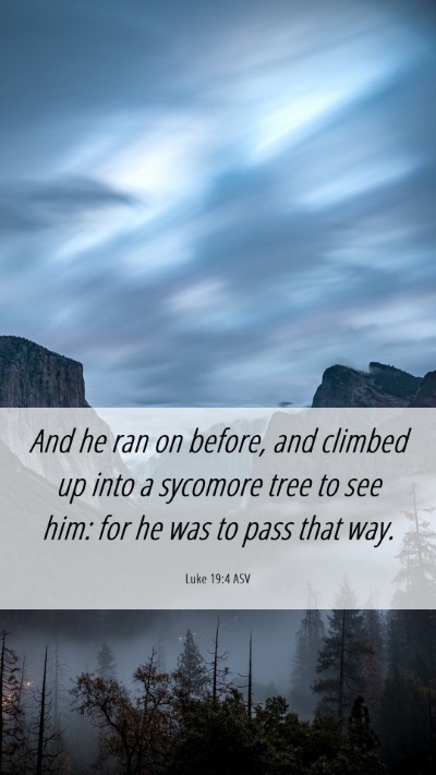 Picture 06 - Luke 19:4 ASV Mobile Phone Wallpaper - And he ran on before, and climbed up into a - Mobile Bible Verse Wallpaper