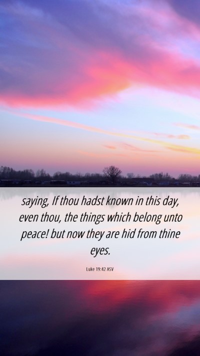 Picture 06 - Luke 19:42 ASV Mobile Phone Wallpaper - saying, If thou hadst known in this day, even - Mobile Bible Verse Wallpaper