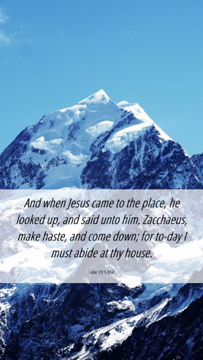 Picture 06 - Luke 19:5 ASV Mobile Phone Wallpaper - And when Jesus came to the place, he looked up, - Mobile Bible Verse Wallpaper