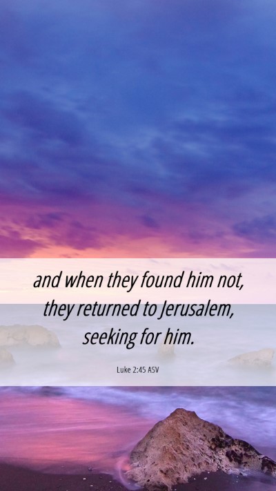 Picture 06 - Luke 2:45 ASV Mobile Phone Wallpaper - and when they found him not, they returned to - Mobile Bible Verse Wallpaper