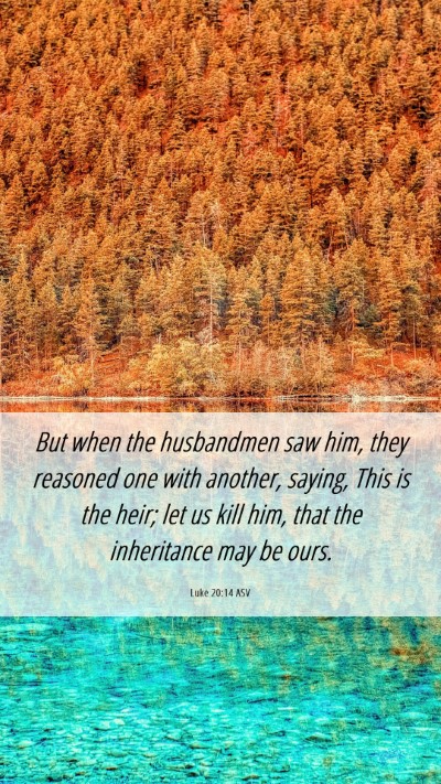 Picture 06 - Luke 20:14 ASV Mobile Phone Wallpaper - But when the husbandmen saw him, they reasoned - Mobile Bible Verse Wallpaper