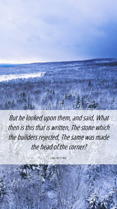 Picture 06 - Luke 20:17 ASV Mobile Phone Wallpaper - But he looked upon them, and said, What then is - Mobile Bible Verse Wallpaper