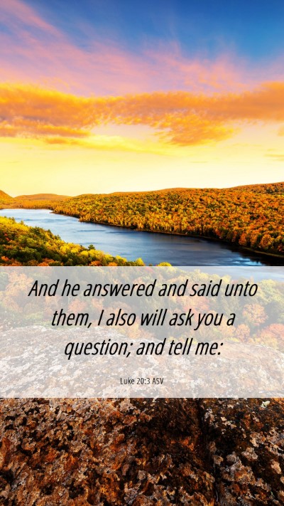 Picture 06 - Luke 20:3 ASV Mobile Phone Wallpaper - And he answered and said unto them, I also will - Mobile Bible Verse Wallpaper