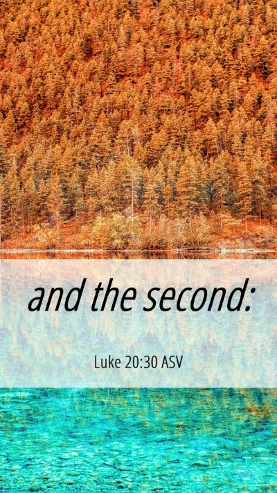 Picture 06 - Luke 20:30 ASV Mobile Phone Wallpaper - and the - Mobile Bible Verse Wallpaper