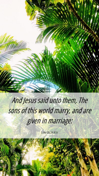Picture 06 - Luke 20:34 ASV Mobile Phone Wallpaper - And Jesus said unto them, The sons of this world - Mobile Bible Verse Wallpaper