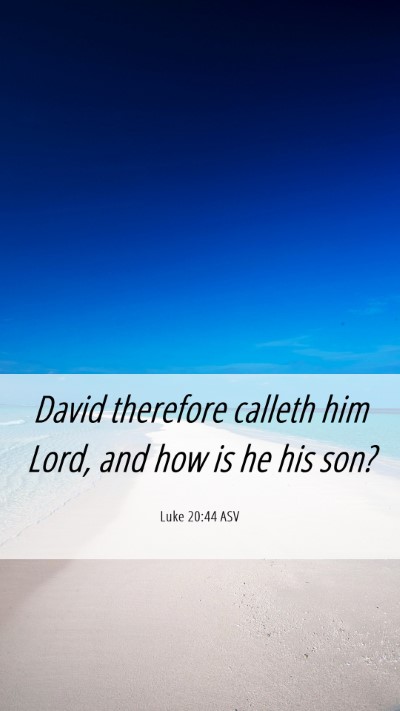 Picture 06 - Luke 20:44 ASV Mobile Phone Wallpaper - David therefore calleth him Lord, and how is he - Mobile Bible Verse Wallpaper
