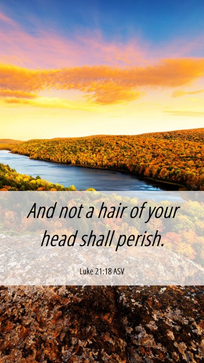 Picture 06 - Luke 21:18 ASV Mobile Phone Wallpaper - And not a hair of your head shall - Mobile Bible Verse Wallpaper