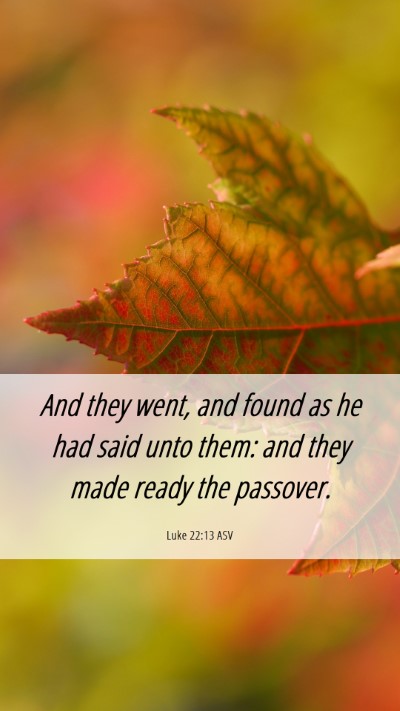 Picture 06 - Luke 22:13 ASV Mobile Phone Wallpaper - And they went, and found as he had said unto - Mobile Bible Verse Wallpaper