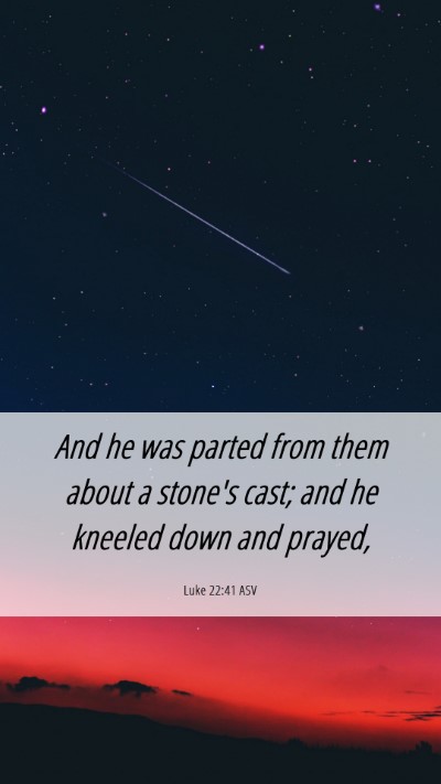 Picture 06 - Luke 22:41 ASV Mobile Phone Wallpaper - And he was parted from them about a stone's cast; - Mobile Bible Verse Wallpaper