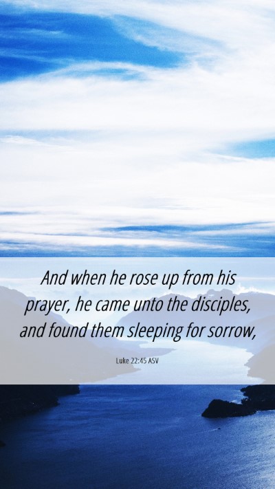 Picture 06 - Luke 22:45 ASV Mobile Phone Wallpaper - And when he rose up from his prayer, he came unto - Mobile Bible Verse Wallpaper