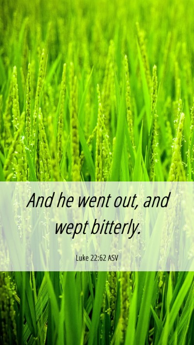 Picture 06 - Luke 22:62 ASV Mobile Phone Wallpaper - And he went out, and wept - Mobile Bible Verse Wallpaper