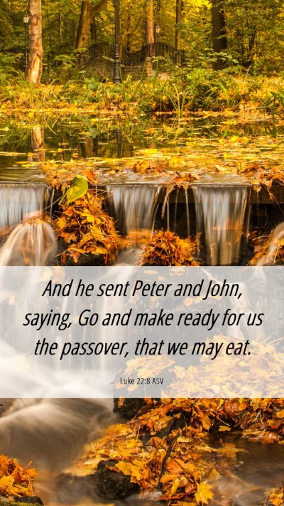 Picture 06 - Luke 22:8 ASV Mobile Phone Wallpaper - And he sent Peter and John, saying, Go and make - Mobile Bible Verse Wallpaper