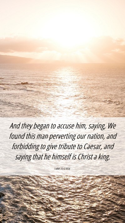 Picture 06 - Luke 23:2 ASV Mobile Phone Wallpaper - And they began to accuse him, saying, We found - Mobile Bible Verse Wallpaper