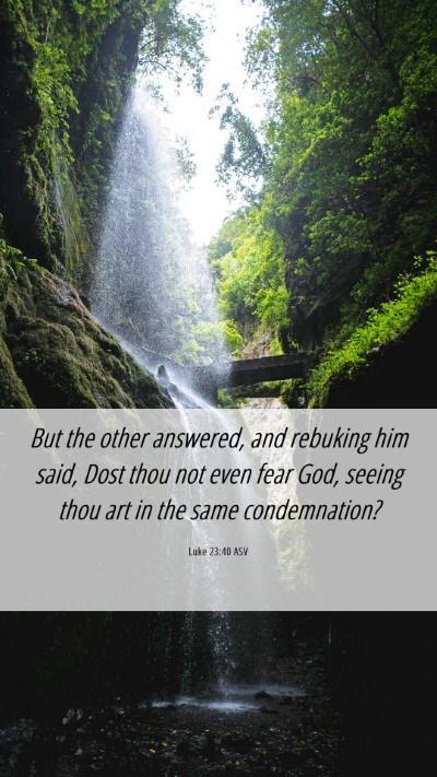 Picture 06 - Luke 23:40 ASV Mobile Phone Wallpaper - But the other answered, and rebuking him said, - Mobile Bible Verse Wallpaper