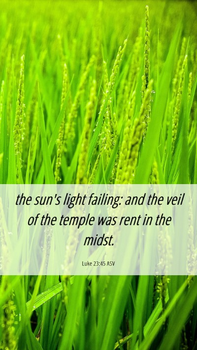 Picture 06 - Luke 23:45 ASV Mobile Phone Wallpaper - the sun's light failing: and the veil of the - Mobile Bible Verse Wallpaper