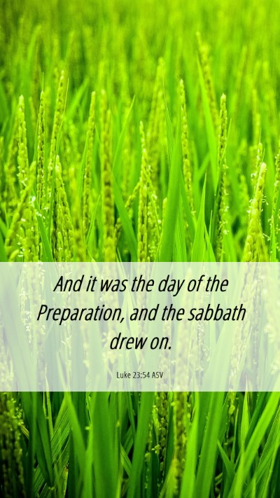 Picture 06 - Luke 23:54 ASV Mobile Phone Wallpaper - And it was the day of the Preparation, and the - Mobile Bible Verse Wallpaper