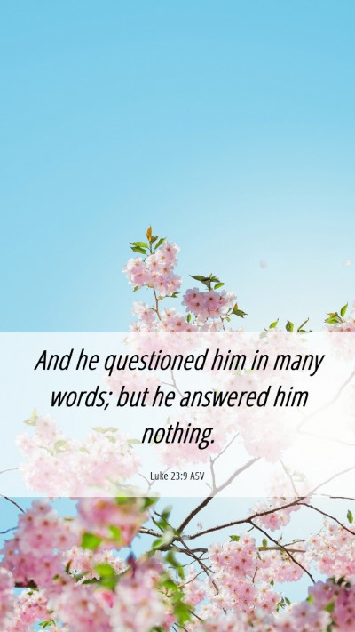 Picture 06 - Luke 23:9 ASV Mobile Phone Wallpaper - And he questioned him in many words; but he - Mobile Bible Verse Wallpaper