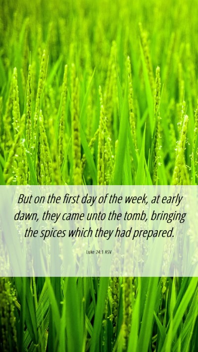Picture 06 - Luke 24:1 ASV Mobile Phone Wallpaper - But on the first day of the week, at early dawn, - Mobile Bible Verse Wallpaper