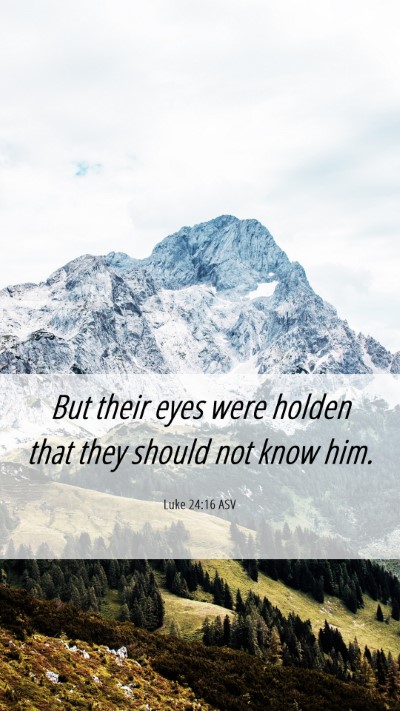 Picture 06 - Luke 24:16 ASV Mobile Phone Wallpaper - But their eyes were holden that they should not - Mobile Bible Verse Wallpaper