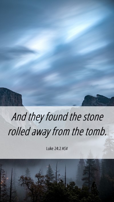 Picture 06 - Luke 24:2 ASV Mobile Phone Wallpaper - And they found the stone rolled away from the - Mobile Bible Verse Wallpaper